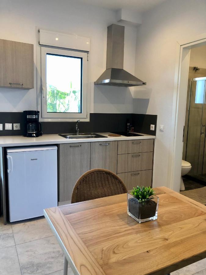 Vanessa House Luxury Apartments 斯基亚索斯镇 外观 照片