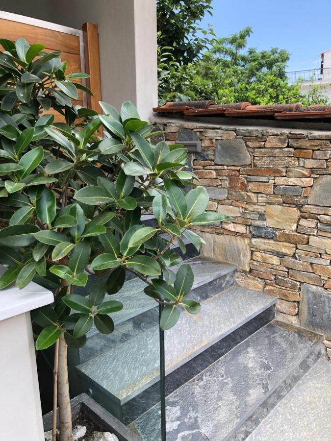 Vanessa House Luxury Apartments 斯基亚索斯镇 外观 照片