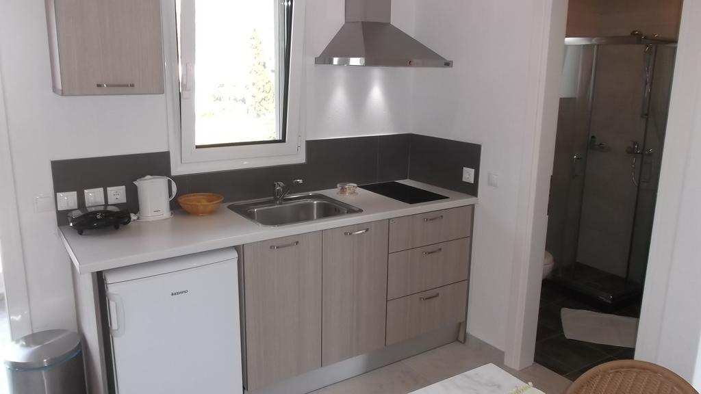 Vanessa House Luxury Apartments 斯基亚索斯镇 外观 照片