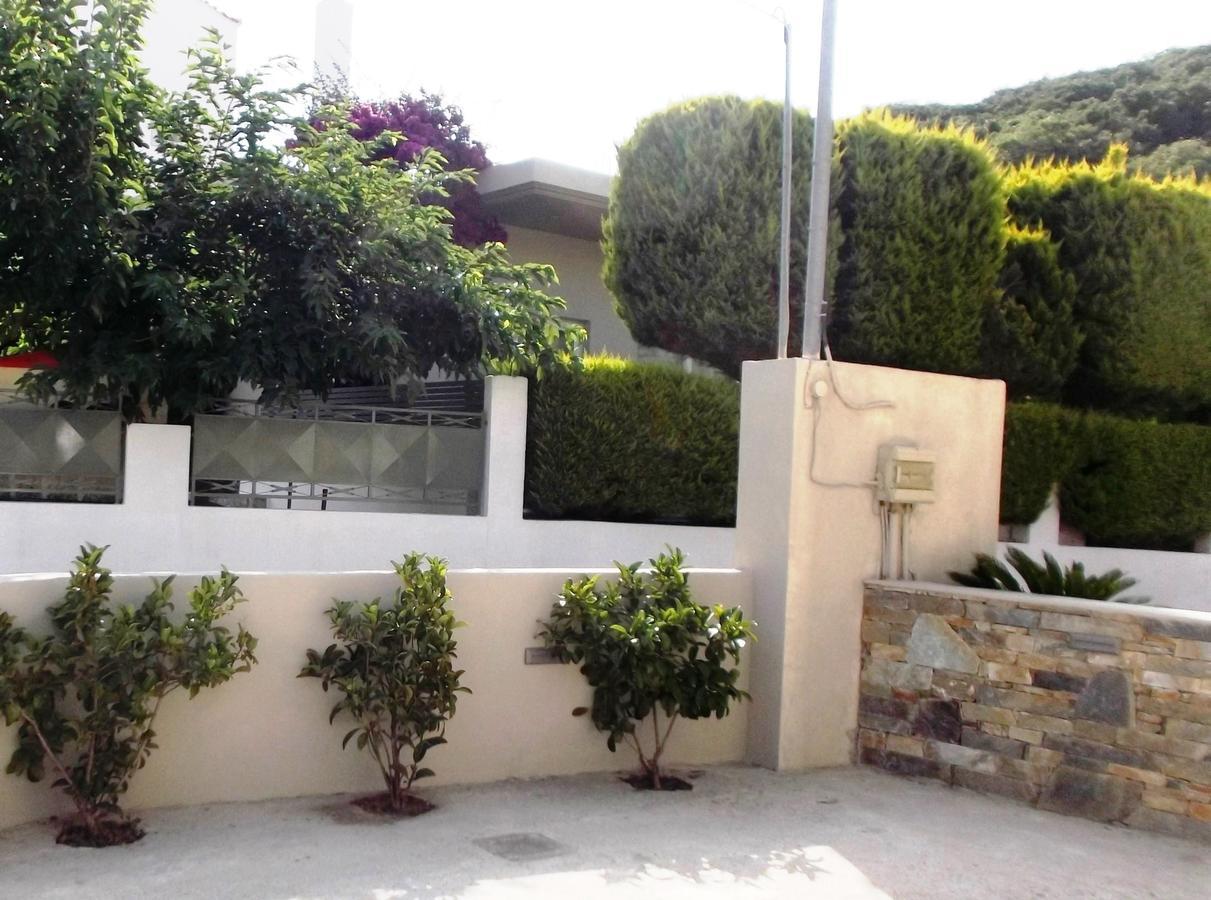 Vanessa House Luxury Apartments 斯基亚索斯镇 外观 照片